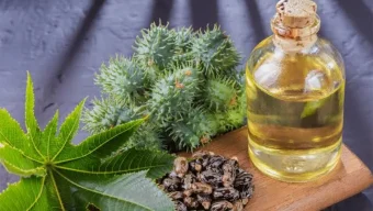 ক্যাস্টর অয়েল থেকে দূরে থাকবেন যারা