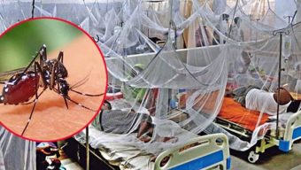 ডেঙ্গুতে আরও ৮ জনের প্রাণহানি, হাসপাতালে ভর্তি ১৭৩৩